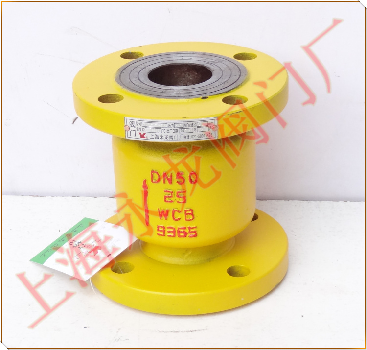 立式氨用止回閥 立式氨用止回閥