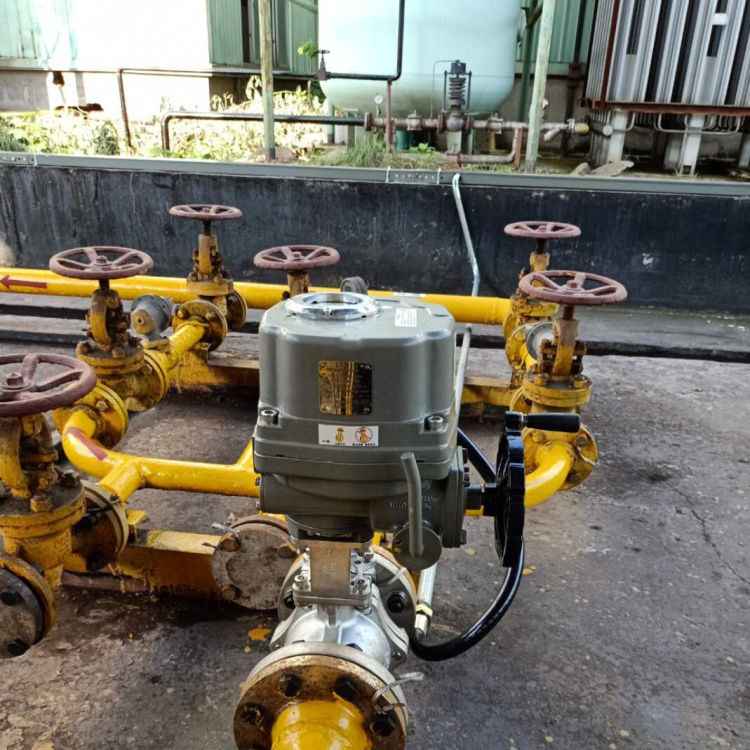 液氨電動緊急切斷閥蘇州工業(yè)園區(qū)應(yīng)用案例-永龍閥門 液氨電動緊急切斷閥蘇州工業(yè)園區(qū)應(yīng)用案例-永龍閥門