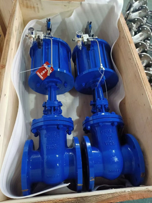 氣動(dòng)閘閥 Pneumatic valve