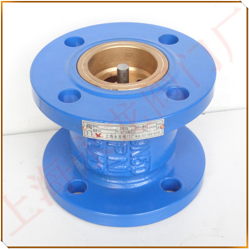 立式止回閥圖片-上海永龍閥門廠