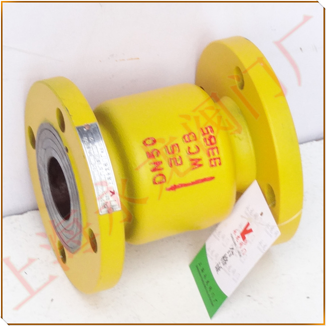 液化氣立式止回閥圖片